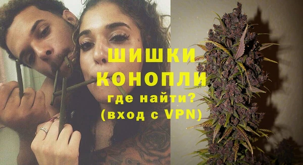 прущие крисы Аркадак