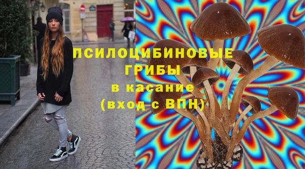 прущие крисы Аркадак